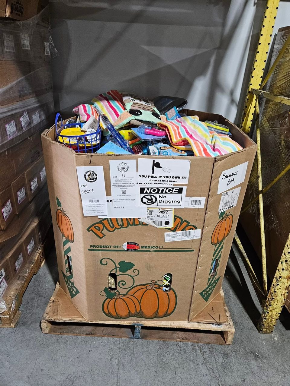 WhatsApp Image 2025-10-23 at 15.48.04